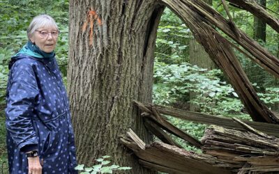 Projekt „Klimahelden im Alltag“